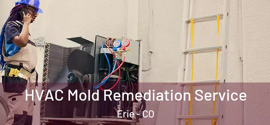  HVAC Mold Remediation Service Erie - CO