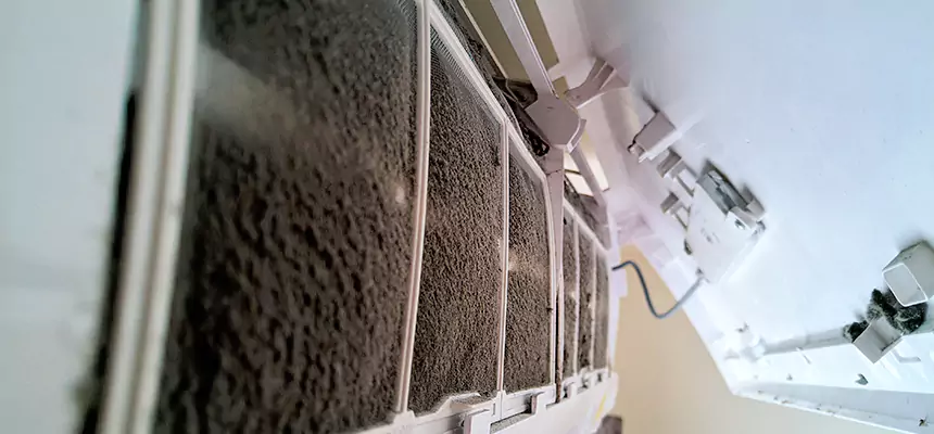 Preventive Air Duct Bacteria Removal in Erie