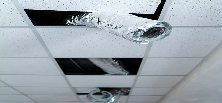 Affordable HVAC Sanitizing After Pest Removal in Erie