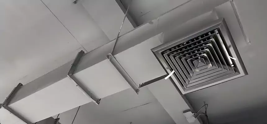 Our Rodent Droppings In Vents Services in Erie, CO