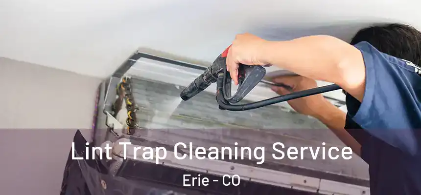  Lint Trap Cleaning Service Erie - CO