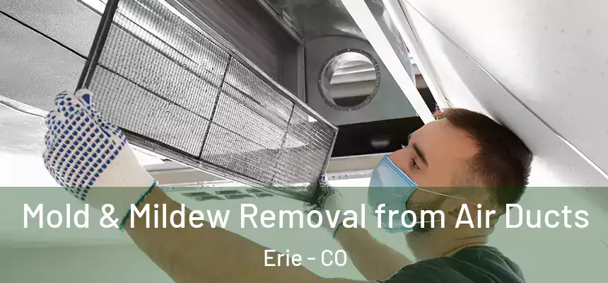  Mold & Mildew Removal from Air Ducts Erie - CO