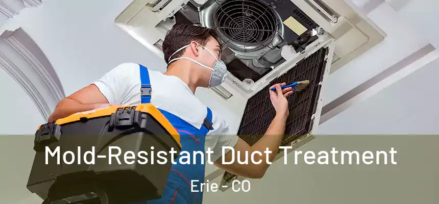  Mold-Resistant Duct Treatment Erie - CO