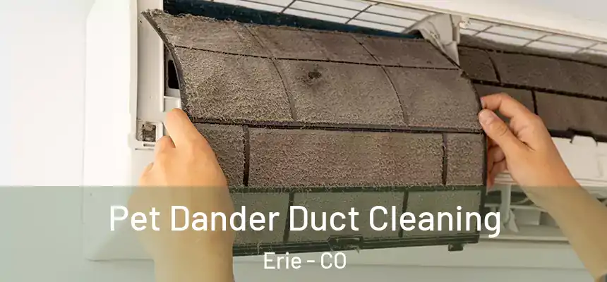  Pet Dander Duct Cleaning Erie - CO