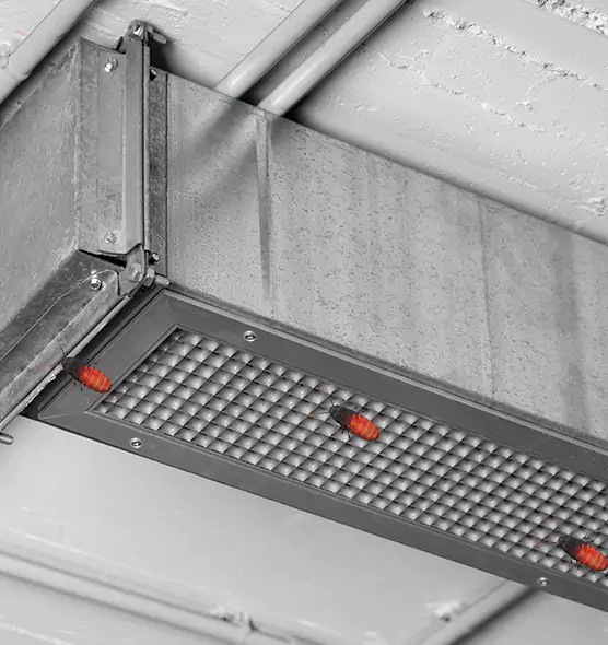 About Air Duct Cockroach Removal in Erie, CO
