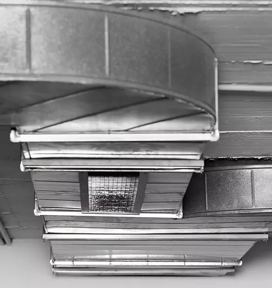 Professional Air Duct Pest Removal in Erie, CO