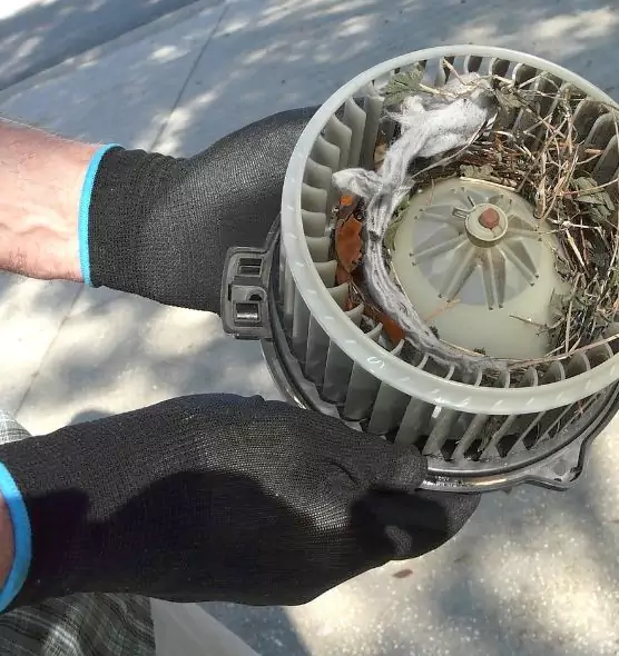 About Air Duct Rat Removal in Erie, CO